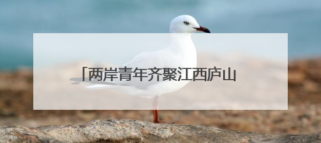两岸青年齐聚江西庐山 共话在赣就业创业新机遇