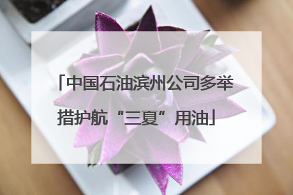 中国石油滨州公司多举措护航“三夏”用油