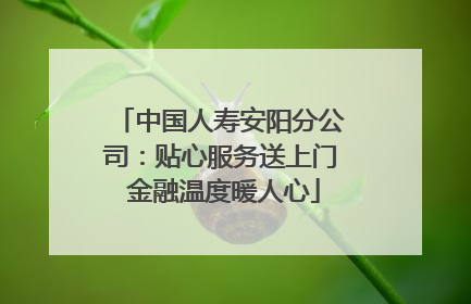 中国人寿安阳分公司：贴心服务送上门 金融温度暖人心