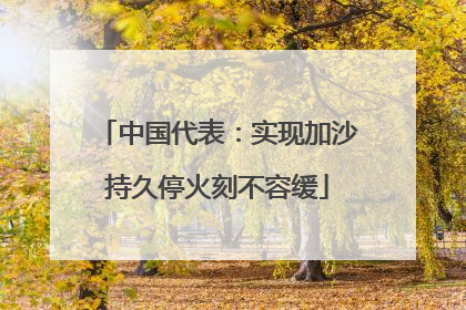 中国代表：实现加沙持久停火刻不容缓
