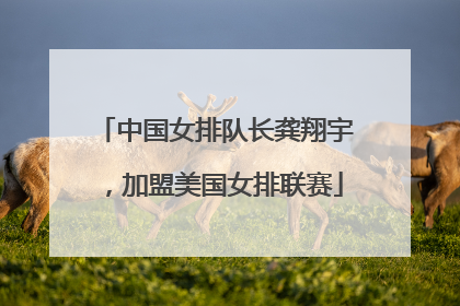 中国女排队长龚翔宇，加盟美国女排联赛