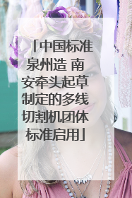 中国标准泉州造 南安牵头起草制定的多线切割机团体标准启用