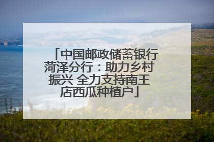 中国邮政储蓄银行菏泽分行：助力乡村振兴 全力支持南王店西瓜种植户