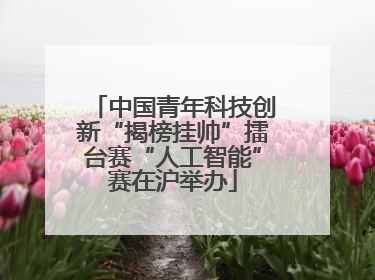 中国青年科技创新“揭榜挂帅”擂台赛“人工智能”赛在沪举办