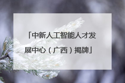 中新人工智能人才发展中心（广西）揭牌