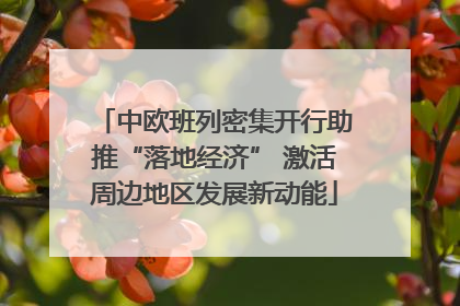 中欧班列密集开行助推“落地经济” 激活周边地区发展新动能