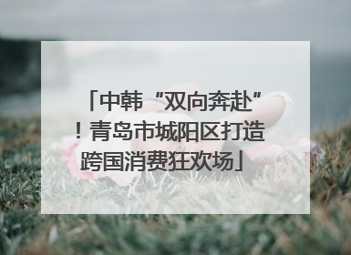 中韩“双向奔赴”！青岛市城阳区打造跨国消费狂欢场
