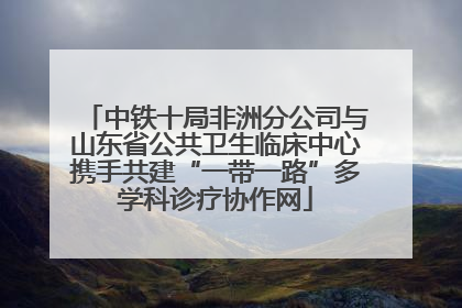中铁十局非洲分公司与山东省公共卫生临床中心携手共建“一带一路”多学科诊疗协作网
