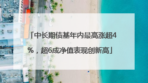 中长期债基年内最高涨超4%，超6成净值表现创新高