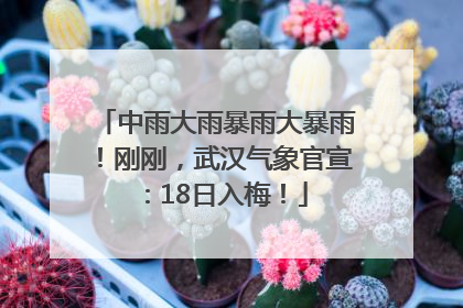 中雨大雨暴雨大暴雨！刚刚，武汉气象官宣：18日入梅！