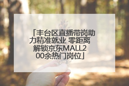 丰台区直播带岗助力精准就业 零距离解锁京东MALL200余热门岗位