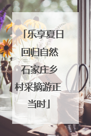 乐享夏日 回归自然 石家庄乡村采摘游正当时