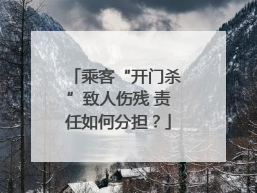 乘客“开门杀”致人伤残 责任如何分担？