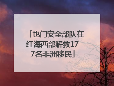 也门安全部队在红海西部解救177名非洲移民