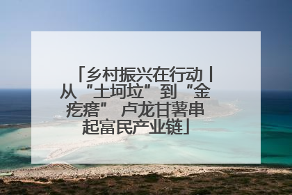 乡村振兴在行动丨从“土坷垃”到“金疙瘩” 卢龙甘薯串起富民产业链