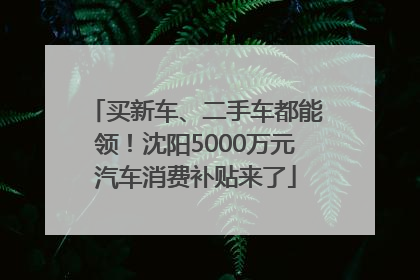 买新车、二手车都能领！沈阳5000万元汽车消费补贴来了