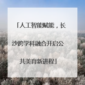 人工智能赋能，长沙跨学科融合开启公共美育新进程