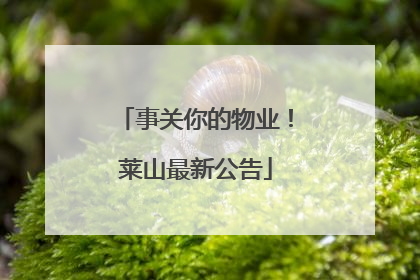事关你的物业！莱山最新公告