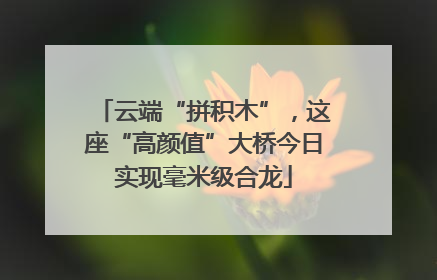 云端“拼积木”，这座“高颜值”大桥今日实现毫米级合龙