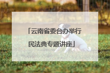 云南省委台办举行民法典专题讲座