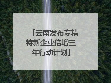 云南发布专精特新企业倍增三年行动计划