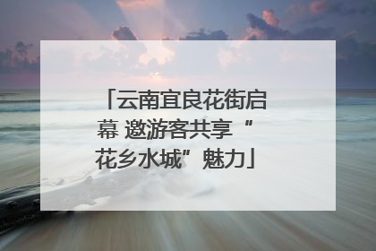 云南宜良花街启幕 邀游客共享“花乡水城”魅力
