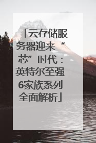 云存储服务器迎来“芯”时代：英特尔至强6家族系列全面解析