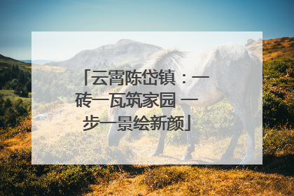 云霄陈岱镇：一砖一瓦筑家园 一步一景绘新颜