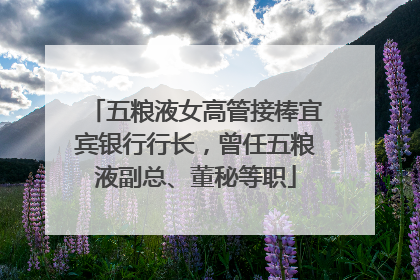 五粮液女高管接棒宜宾银行行长，曾任五粮液副总、董秘等职