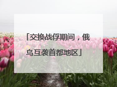 交换战俘期间，俄乌互袭首都地区