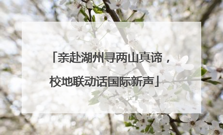 亲赴湖州寻两山真谛，校地联动话国际新声