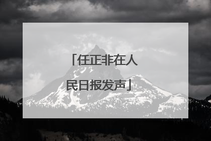 任正非在人民日报发声