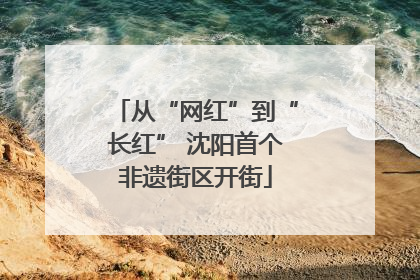 从“网红”到“长红” 沈阳首个非遗街区开街