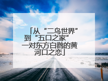 从“二鸟世界”到“五口之家” 一对东方白鹳的黄河口之恋