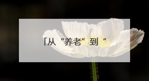 从“养老”到“享老” 让银发族乐享夕阳红