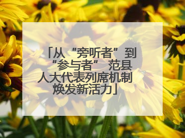 从“旁听者”到“参与者” 范县人大代表列席机制焕发新活力
