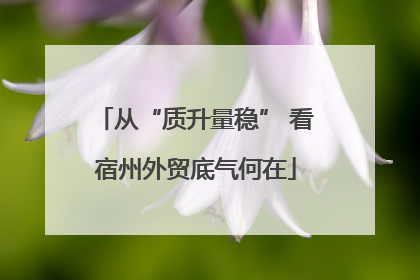 从“质升量稳” 看宿州外贸底气何在