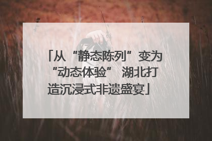 从“静态陈列”变为“动态体验” 湖北打造沉浸式非遗盛宴