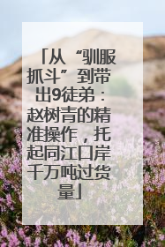 从“驯服抓斗”到带出9徒弟：赵树青的精准操作，托起同江口岸千万吨过货量