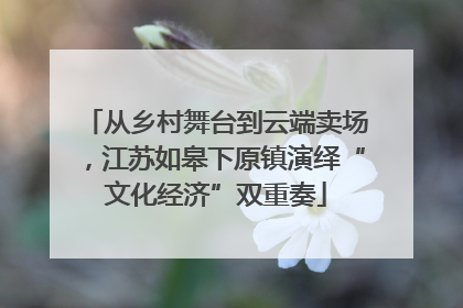 从乡村舞台到云端卖场，江苏如皋下原镇演绎“文化经济”双重奏