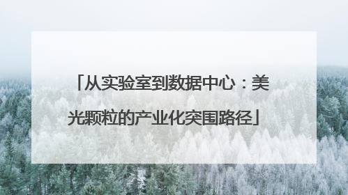 从实验室到数据中心：美光颗粒的产业化突围路径