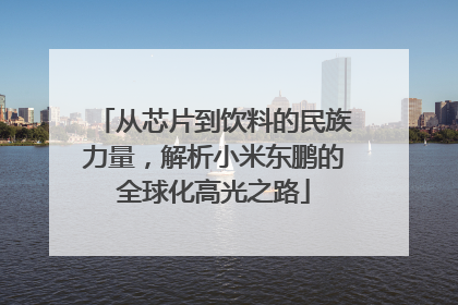 从芯片到饮料的民族力量，解析小米东鹏的全球化高光之路