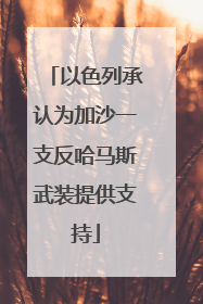 以色列承认为加沙一支反哈马斯武装提供支持