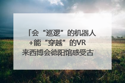 会“巡逻”的机器人+能“穿越”的VR 来西博会德阳馆感受古蜀文明与现代智造的时空对话｜西博视界