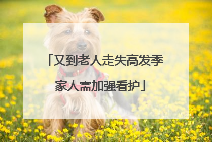 又到老人走失高发季 家人需加强看护