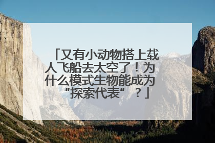 又有小动物搭上载人飞船去太空了！为什么模式生物能成为“探索代表”？