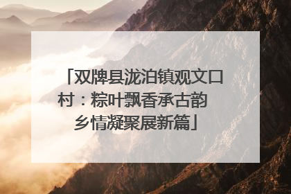 双牌县泷泊镇观文口村：粽叶飘香承古韵 乡情凝聚展新篇