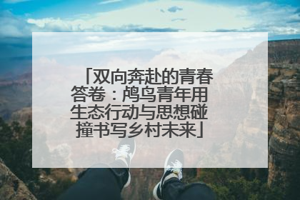 双向奔赴的青春答卷：鸬鸟青年用生态行动与思想碰撞书写乡村未来