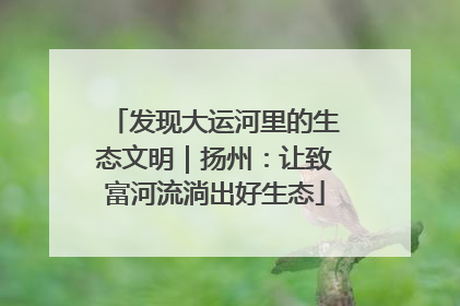 发现大运河里的生态文明｜扬州：让致富河流淌出好生态