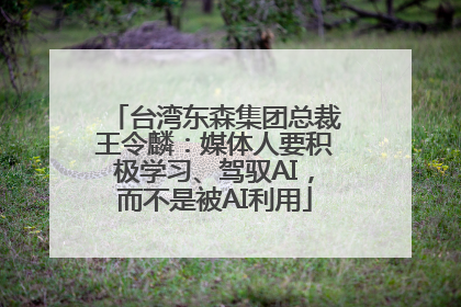 台湾东森集团总裁王令麟：媒体人要积极学习、驾驭AI，而不是被AI利用